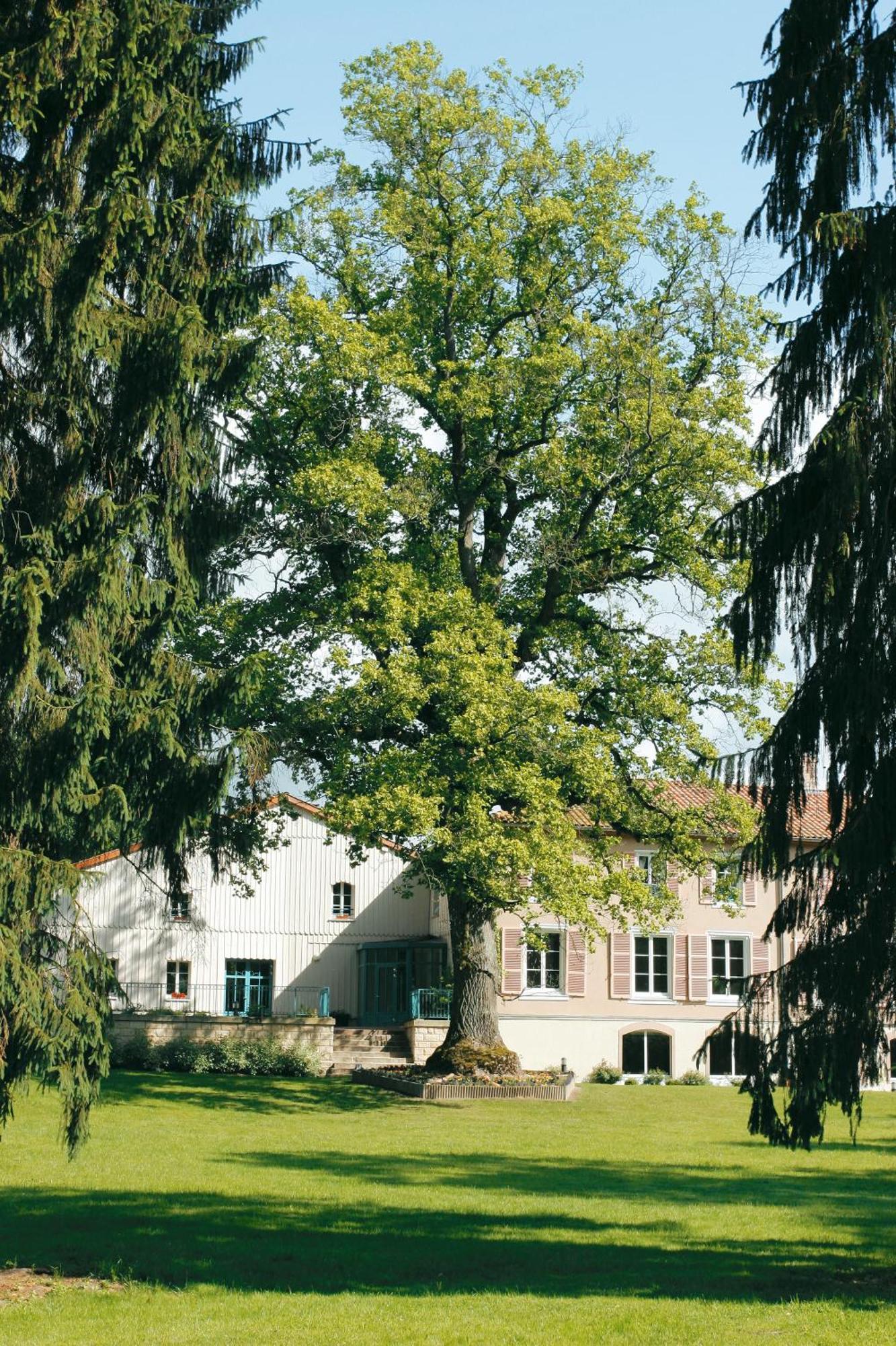Logis Hotel - Restaurant Le Tulipier Vienne-le-Château Zimmer foto